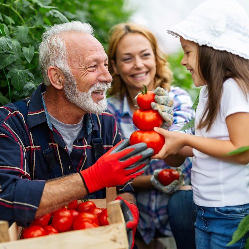 A importância dos idosos | Scada